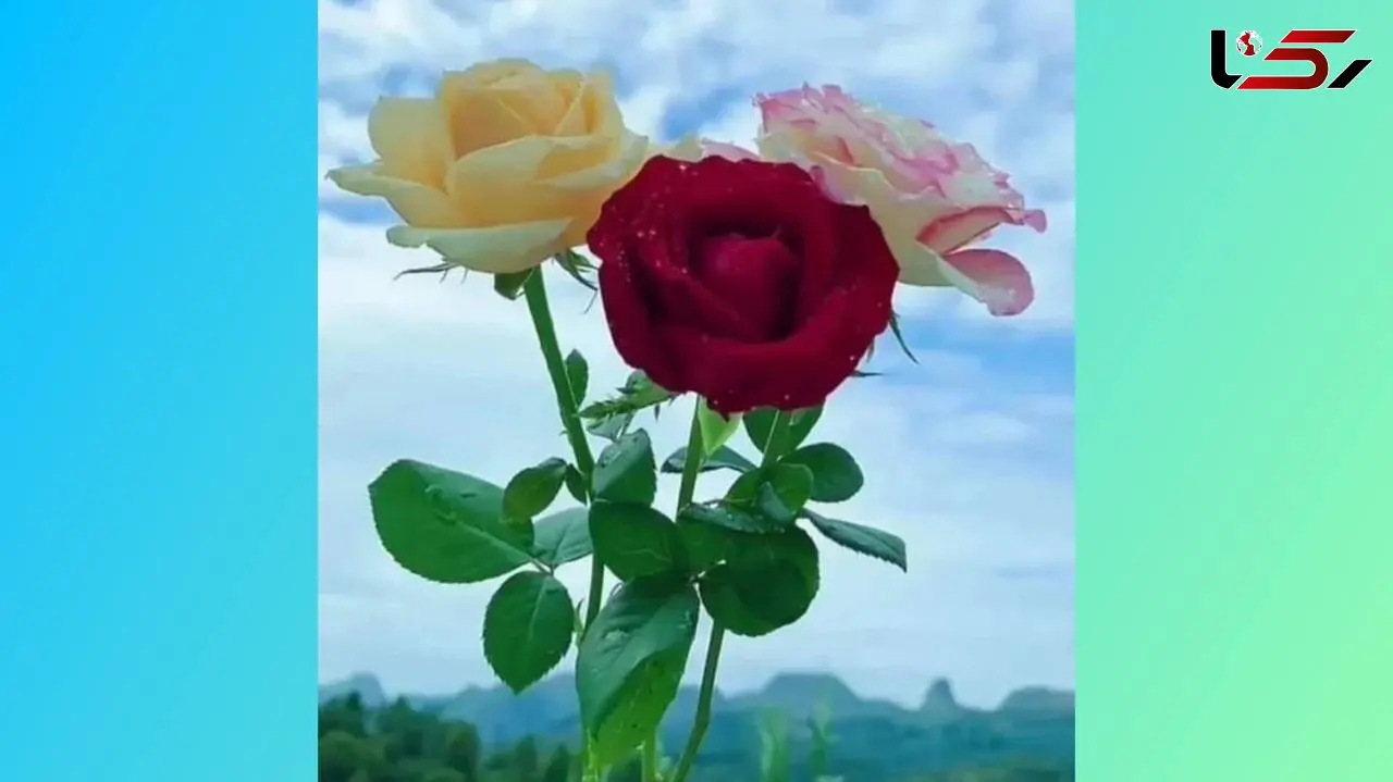 فال ابجد امروز / 26خرداد ماه + فیلم 