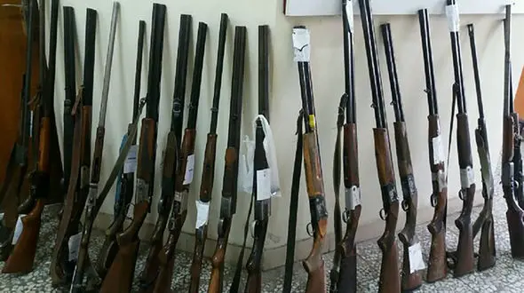 دپو سلاح‌ و مهمات قاچاقچیان زیر درختان لو رفت