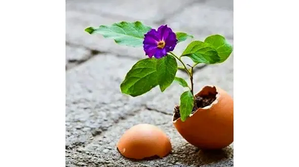 فال روزانه شخصی/ 13 تیر ماه + فیلم