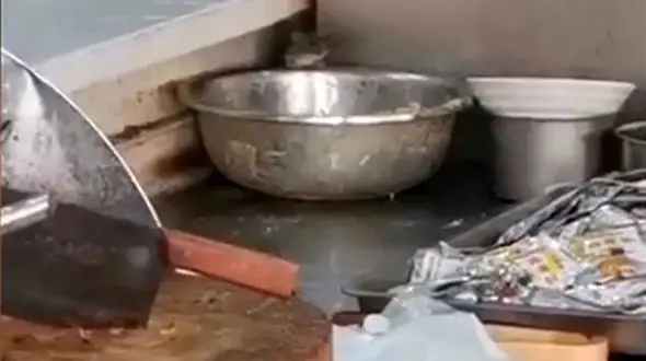 فیلم غذا خوردن موش ها در بیمارستان چینی + فیلم