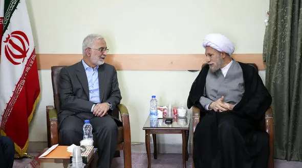 وزیر کشور: در اسرع وقت اتباع غیرمجاز را طرد می‌کنیم/  وجود اتباع غیرمجاز باعث شده علاوه بر ایجاد مشکلات، فرصت‌های شغلی زیادی هم توسط این افراد گرفته شود 