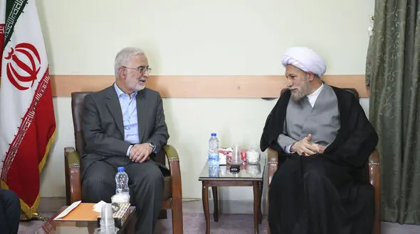 وزیر کشور: در اسرع وقت اتباع غیرمجاز را طرد می‌کنیم/  وجود اتباع غیرمجاز باعث شده علاوه بر ایجاد مشکلات، فرصت‌های شغلی زیادی هم توسط این افراد گرفته شود 