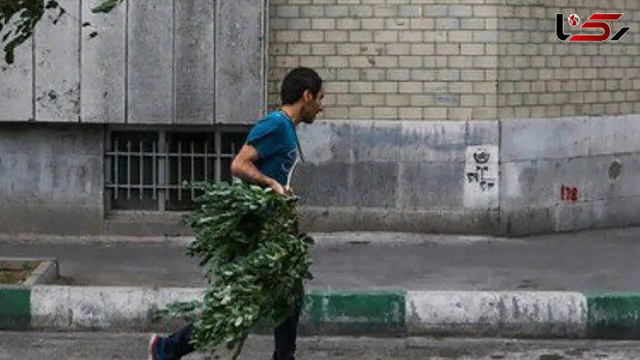 هشدار به تهرانی ها / امروز منتظر طوفان شدید باشید