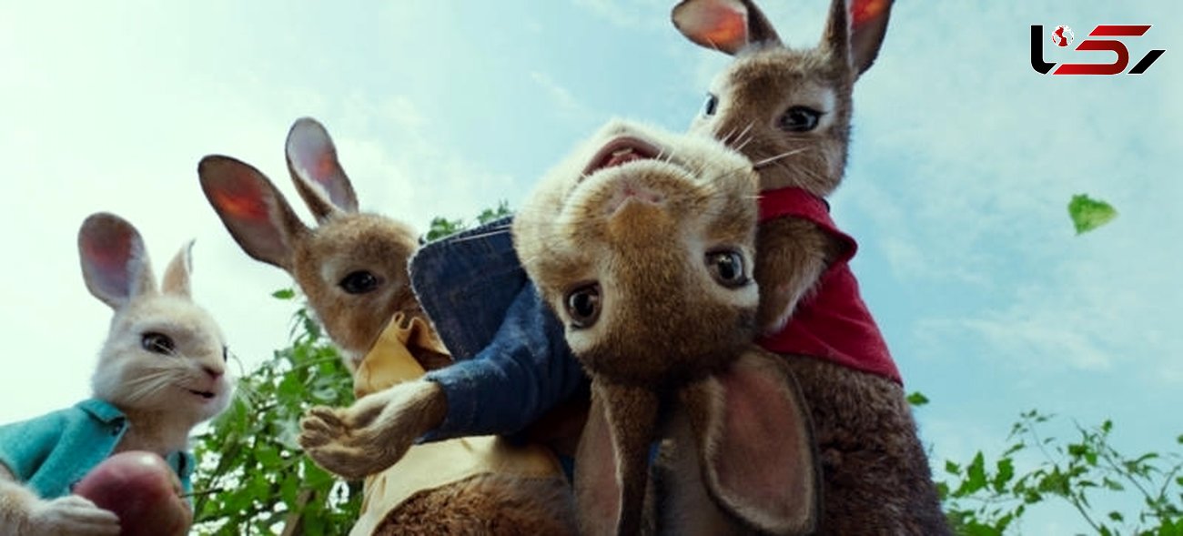 پیتر خرگوشه پرفروش‌ترین انیمیشن سال 2018 میلادی شد+عکس