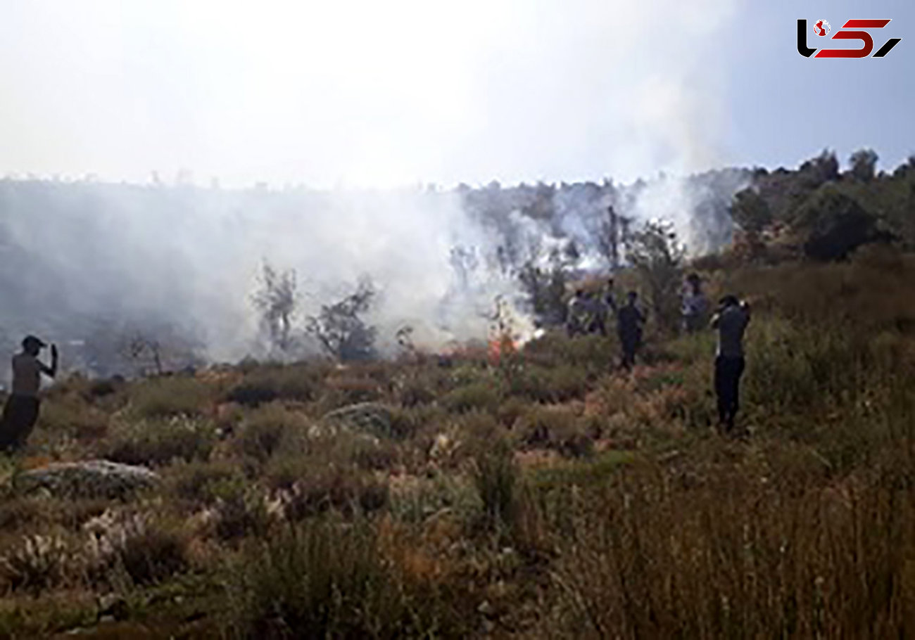 مهار آتش‌سوزی در منطقه حفاظت شده تنگ صیاد