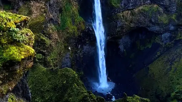 موفقیت، برای افراد سخت کوش است