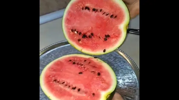 قاچ کردن هندوانه به ساده ترین شکل / فیلم