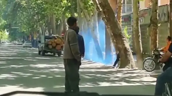 قطع درختان خیابان فردوسی اصفهان به علت وجود سوسک چوب خوار / چمن های اصفهان در حال خشک شدن هستند + فیلم
