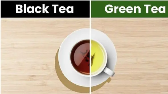 فواید چای سبز و چای سیاه؛ بهترین گزینه برای بدن شما کدام است؟