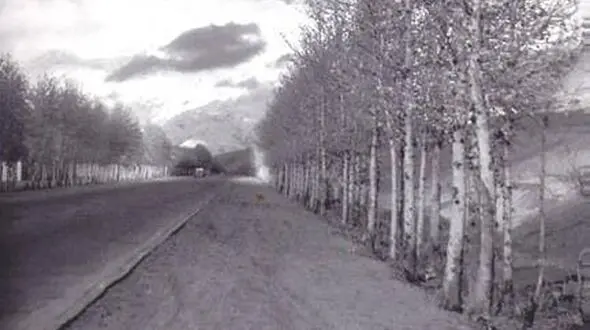نوستالژی تصویر خیابان ولیعصر، ۶۴ سال قبل