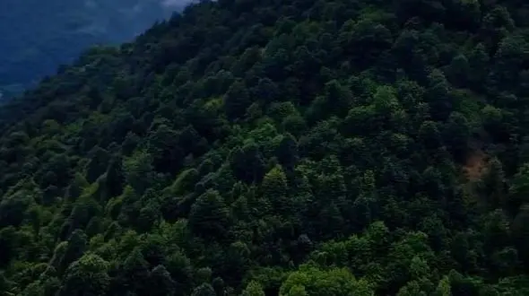 از ترکمن صحرا تا طبیعت سر سبز مازندران