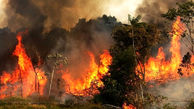 8 مورد آتش سوزی در شهرستان شاهرود 