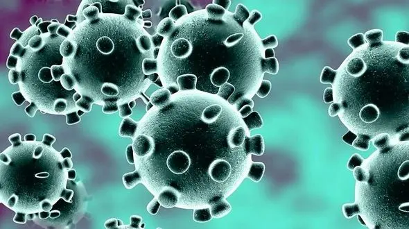 کرونا جان دختر 7 ساله بوشهری را گرفت 