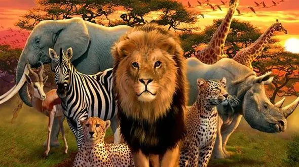 فیلم 10 تا از خطرناکترین حیوانات جهان  / این ها آدمکش هستند + آمار دقیق انسان های مرده توسط این حیوانات !