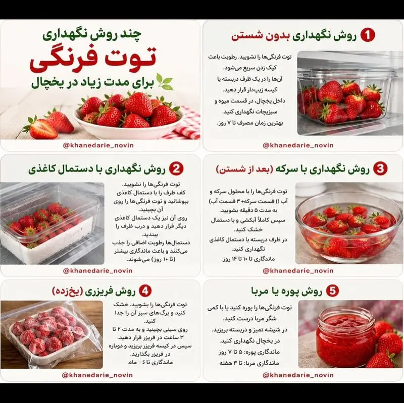 نگهداری توت‌ فرنگی