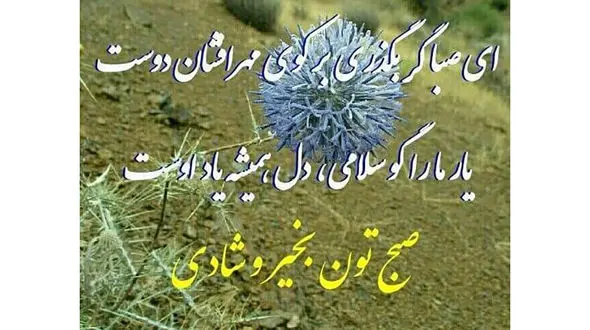 فال حافظ امروز 13 تیر 