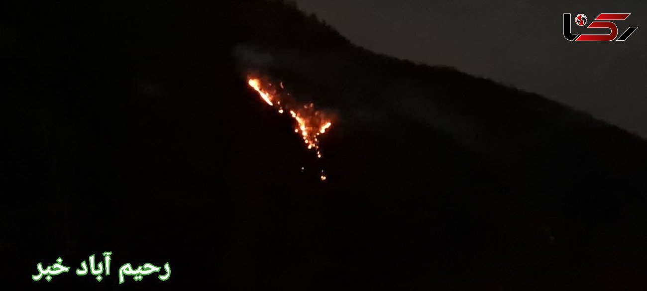آتش به جان جنگل‌های هیرکانی میلاش افتاد + جزئیات آتش سوزی
