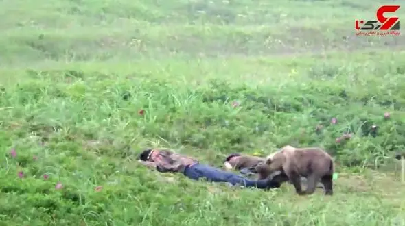  توله خرس و ماهیگیرها از هم ترسیدند + فیلم