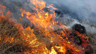 فیلمی وحشتناک از سوختن کوه بیرمی تنگستان در آتش