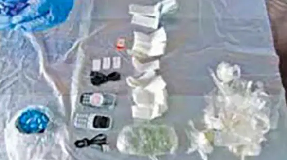 انتقال مواد به زندان با کمک موش های انگلیسی !