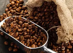قیمت کاکائو و قهوه امروز چهارشنبه ۲۲ مهر ۱۴۰۵؛ آخرین نرخ و بازدهی بازار