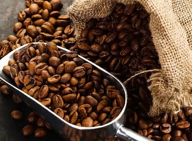 قیمت کاکائو و قهوه امروز چهارشنبه ۲۲ مهر ۱۴۰۵؛ آخرین نرخ و بازدهی بازار