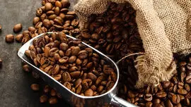 قیمت کاکائو و قهوه امروز چهارشنبه ۲۲ مهر ۱۴۰۵؛ آخرین نرخ و بازدهی بازار