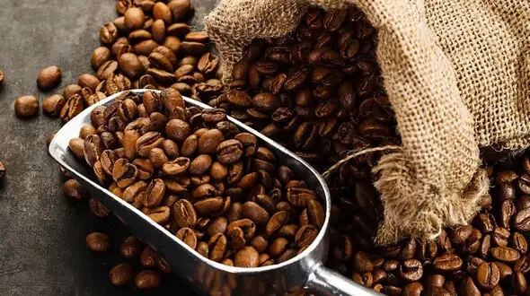 قیمت کاکائو و قهوه امروز چهارشنبه ۲۲ مهر ۱۴۰۵؛ آخرین نرخ و بازدهی بازار