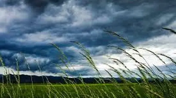 آسمان ابری و وزش باد در لرستان