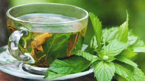 از این دمنوش در ماه رمضان غافل نشوید 