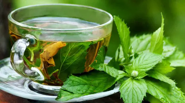 از این دمنوش در ماه رمضان غافل نشوید 