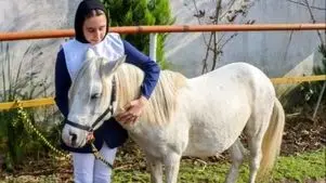 عکس‌ های دیدنی از جشنواره زیبایی اسب کاسپین در انزلی