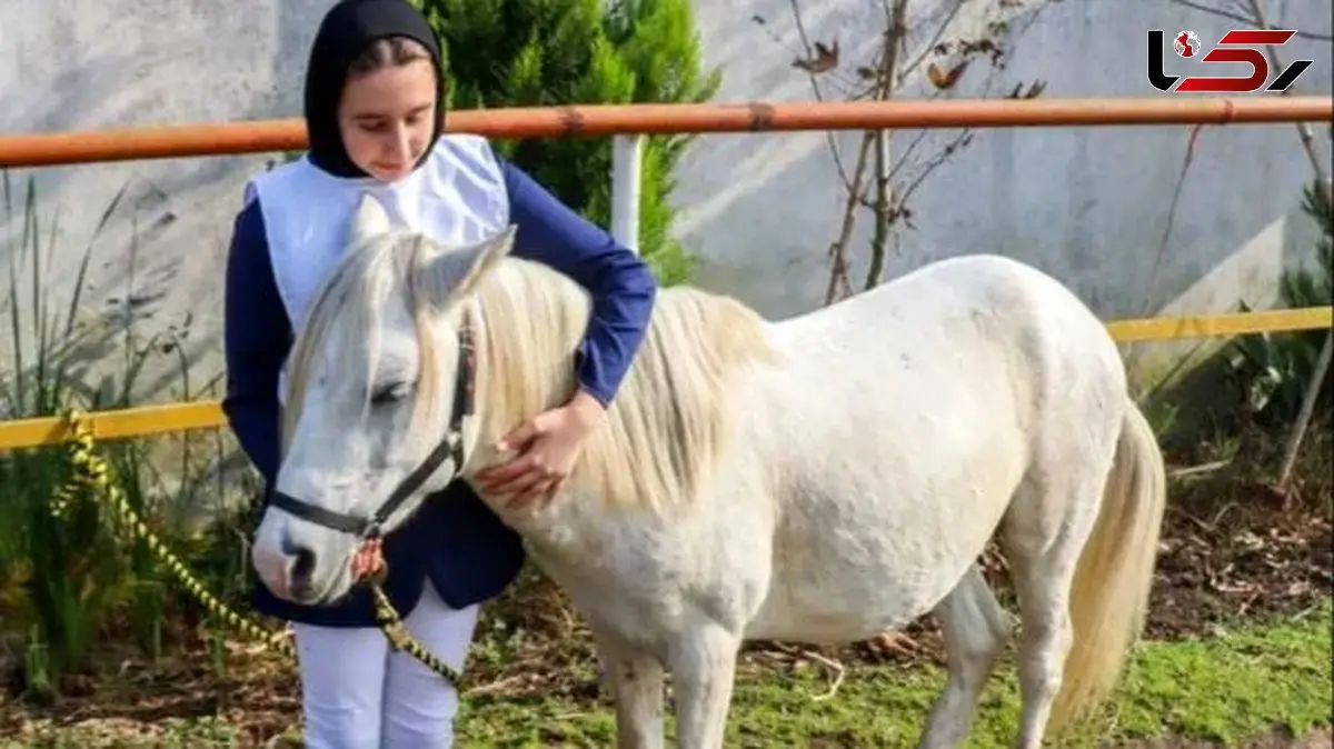 عکس‌ های دیدنی از جشنواره زیبایی اسب کاسپین در انزلی