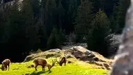 از خودت جلو بزن نه از دیگران