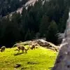 از خودت جلو بزن نه از دیگران