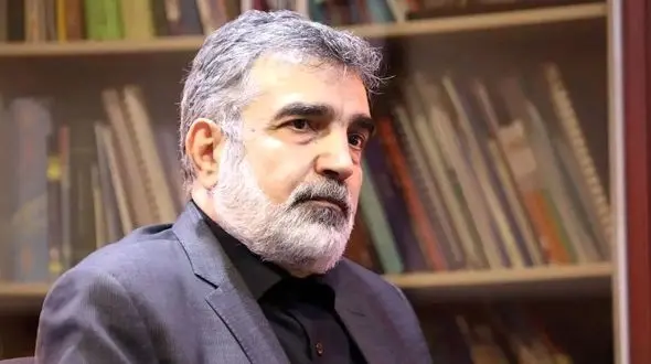 چالش‌ها و همکاری‌های ایران و آژانس بین‌المللی انرژی اتمی از نگاه سخنگوی سازمان