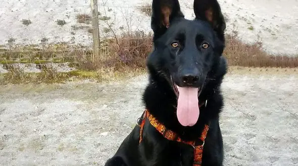 کثیف بودن محیط زیست فاجعه ای دردناک را رقم زد+عکس