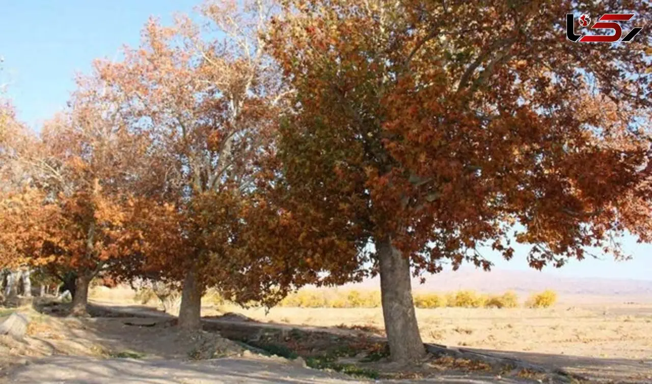 ایران در یک پاییز تلخ/ گرمای غیرمعمول که آب، غذا و زندگی مردم را می‌بلعد