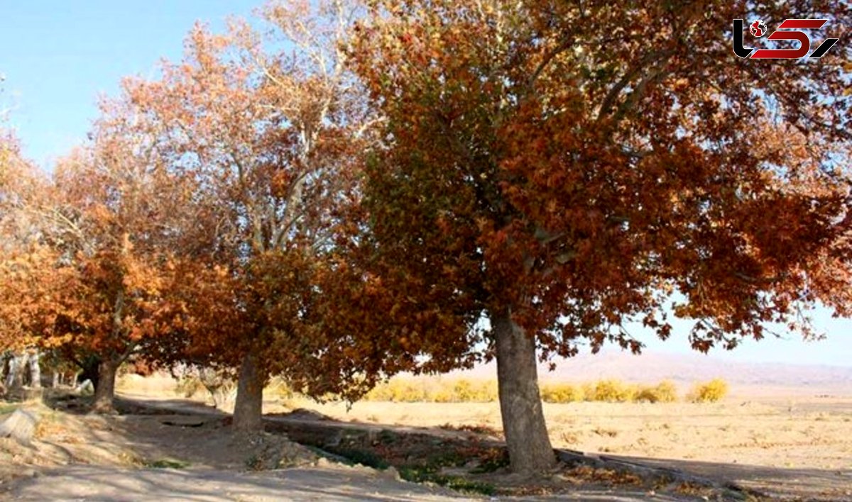 ایران در یک پاییز تلخ/ گرمای غیرمعمول که آب، غذا و زندگی مردم را میبلعد
