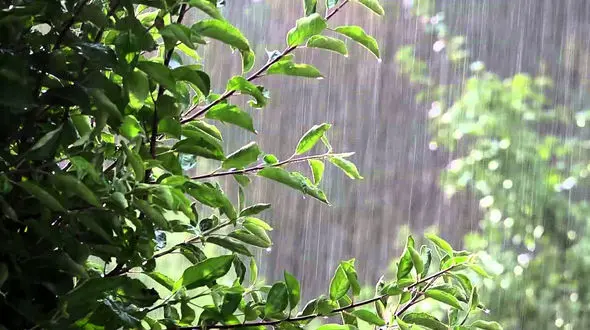 وضعیت هواشناسی در 2 روز آینده/ آسمان تهران ابری می شود