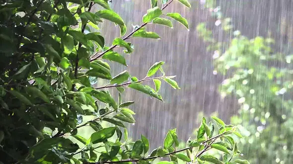 وضعیت هواشناسی در 2 روز آینده/ آسمان تهران ابری می شود