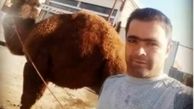 دستگیری قاتل فراری در ارومیه 