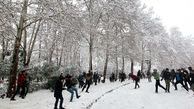 تهرانی ها منتظر برف باشند / بارش های اخیر جبران کننده کم بارشی گذشته نیست