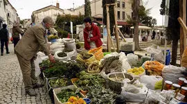 اقدام انسانی شهردار استانبول / هدیه ویژه «صندلی» به زنان و مردان دست‌فروش ؛ پیامی برای کرامت مردم