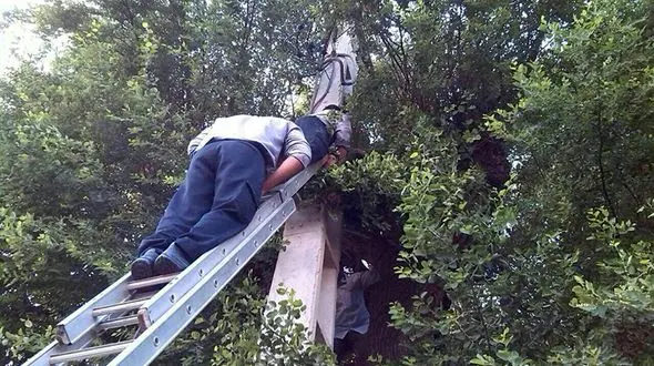 مرد 35 ساله کرجی درجا خشکش زد / کشف یک جسد روی درخت+ عکس عجیب