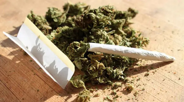 «گُل» دومین مخدر مصرفی کشور 