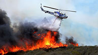 عکس های تکاندهنده از آتش سوزی جنگل دنا ! / ببینید مردم چه می کنند ! + جزییات