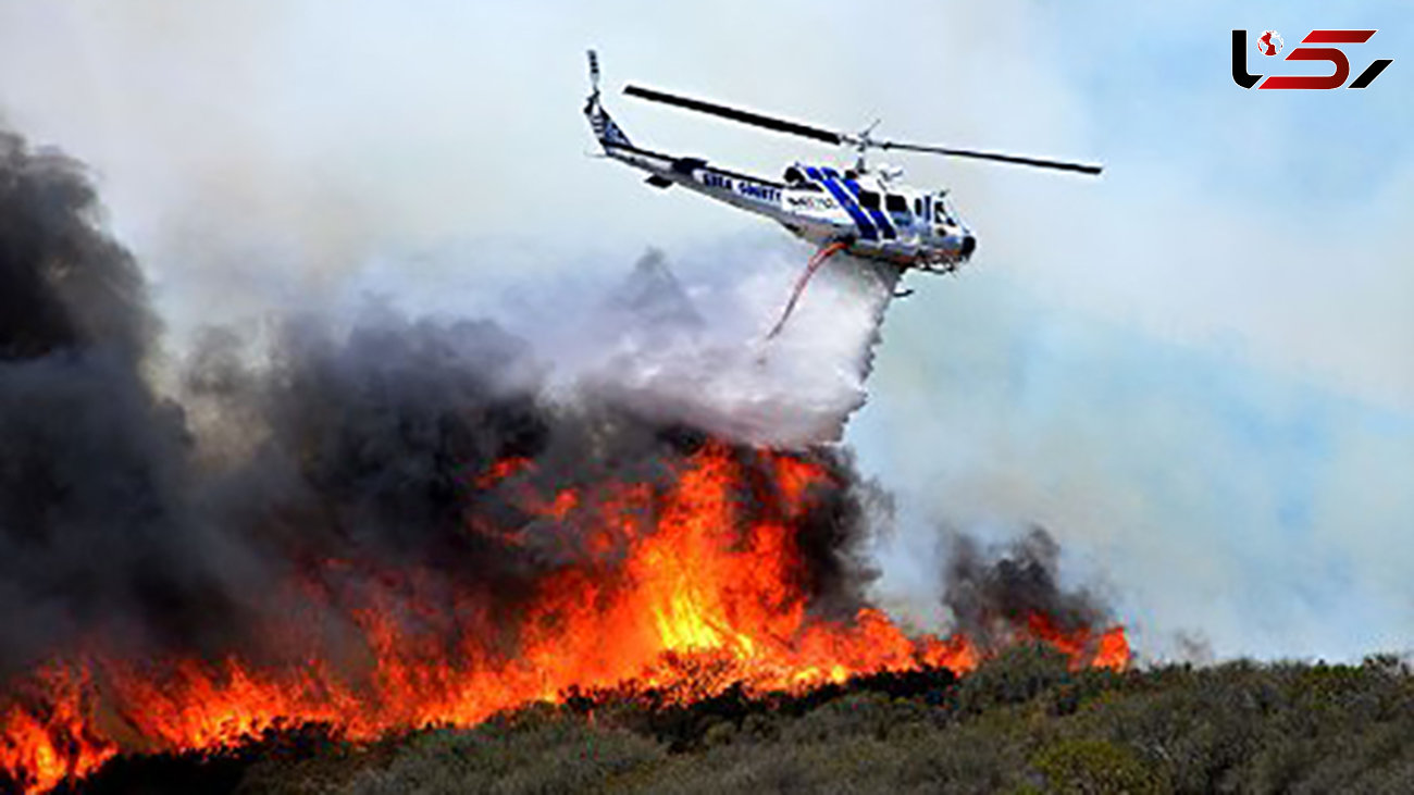 عکس های تکاندهنده از آتش سوزی جنگل دنا ! / ببینید مردم چه می کنند ! + جزییات