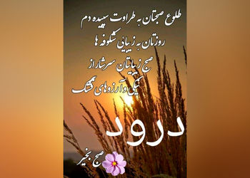 فال ابجد یکشنبه 12 مرداد 