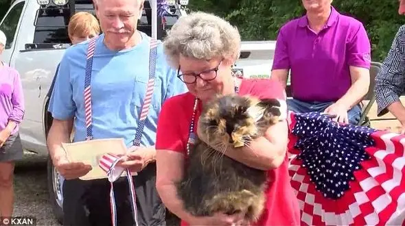 یک گربه شهردار شهری در آمریکا شد+ عکس